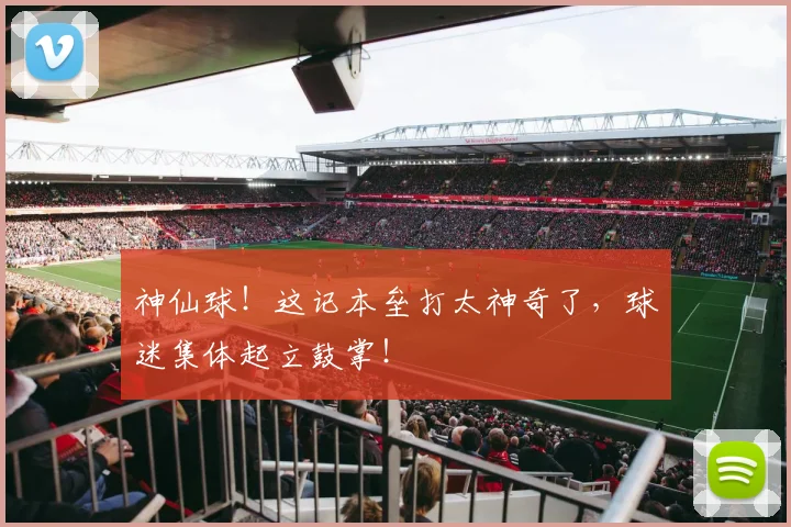 神仙球！这记本垒打太神奇了，球迷集体起立鼓掌！