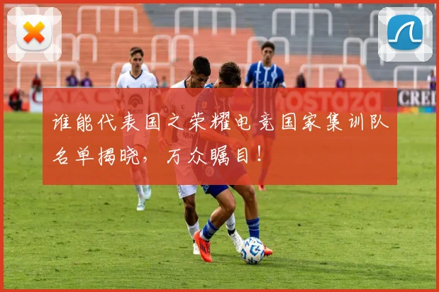 谁能代表国之荣耀电竞国家集训队名单揭晓，万众瞩目！