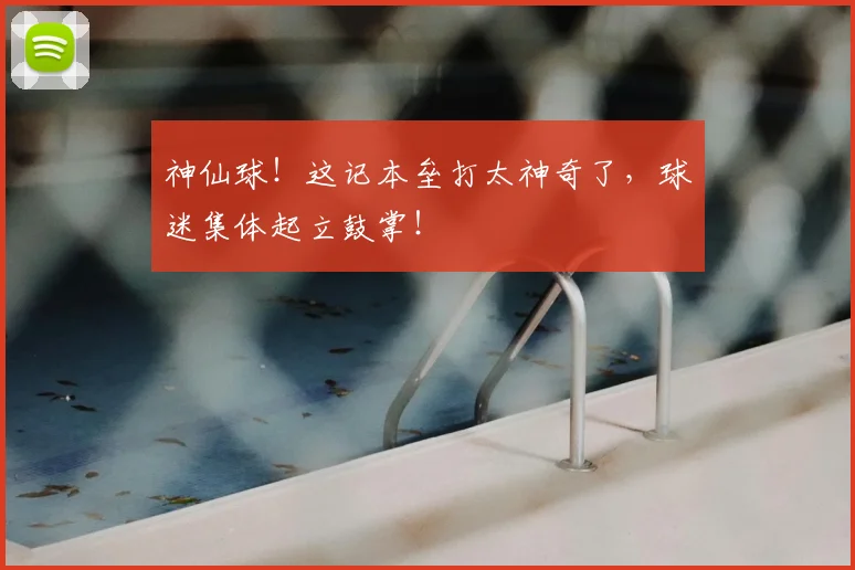 神仙球！这记本垒打太神奇了，球迷集体起立鼓掌！