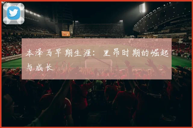 本泽马早期生涯：里昂时期的崛起与成长